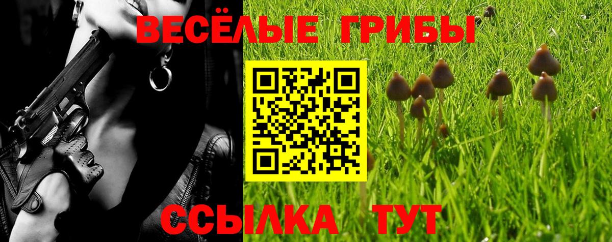 Приморско-Ахтарск  Галлюциногенные грибы прущие грибы  Псилоцибиновые грибы GOLDEN TEACHER  купить  цена  Вход с VPN 